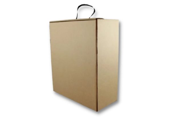 Caja para zapatos con manija